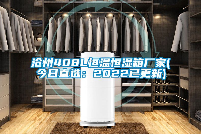 沧州408L恒温恒湿箱厂家(今日直选：2022已更新)