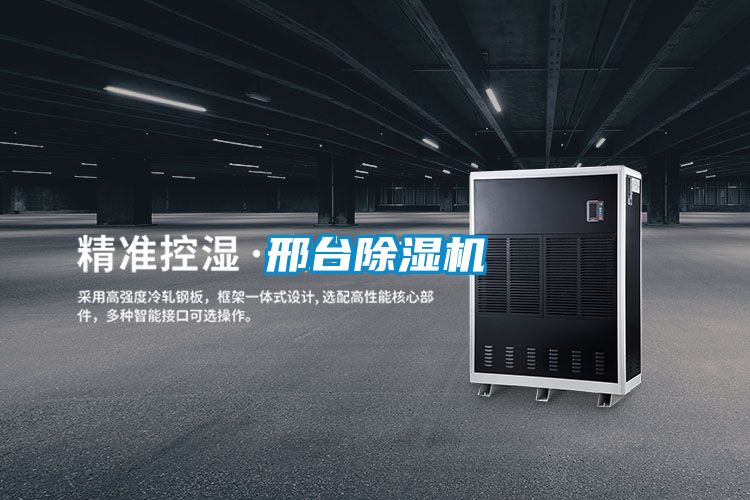 邢台麻豆视频黄网站