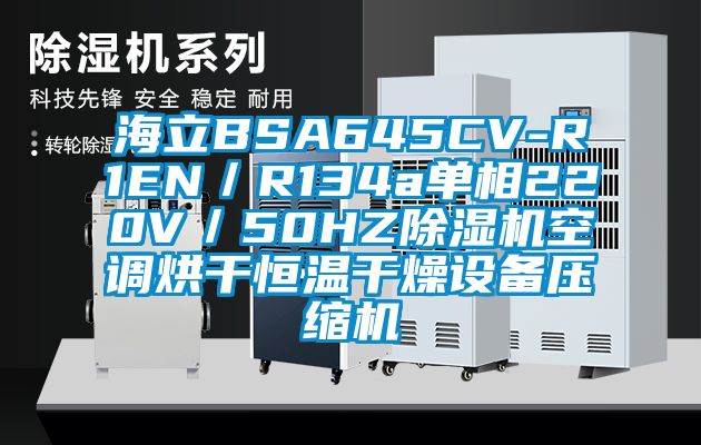海立BSA645CV-R1EN／R134a单相220V／50HZ麻豆视频黄网站空调烘干恒温干燥设备压缩机