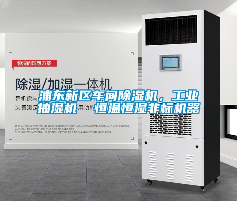 浦东新区车间麻豆视频黄网站，工业抽湿机  恒温恒湿非标机器