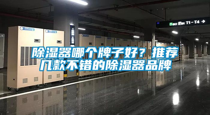 除湿器哪个牌子好？推荐几款不错的除湿器品牌