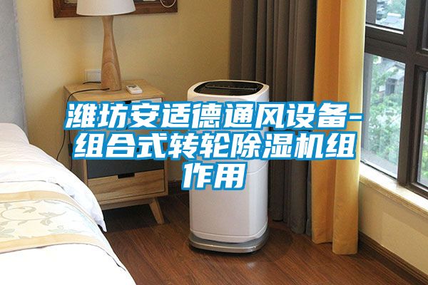 潍坊安适德通风设备-组合式转轮麻豆视频黄网站组作用
