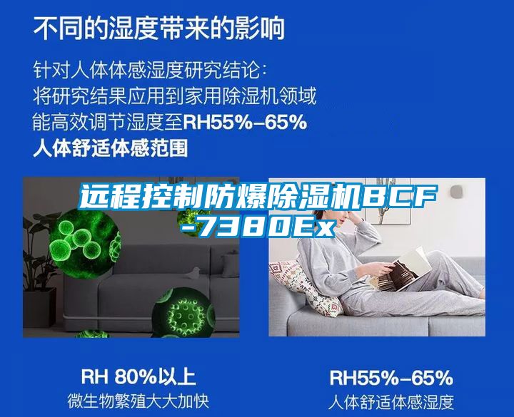 远程控制防爆麻豆视频黄网站BCF-7380Ex