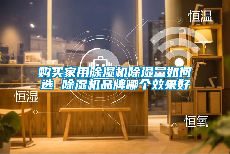 购买家用麻豆视频黄网站除湿量如何选 麻豆视频黄网站品牌哪个效果好