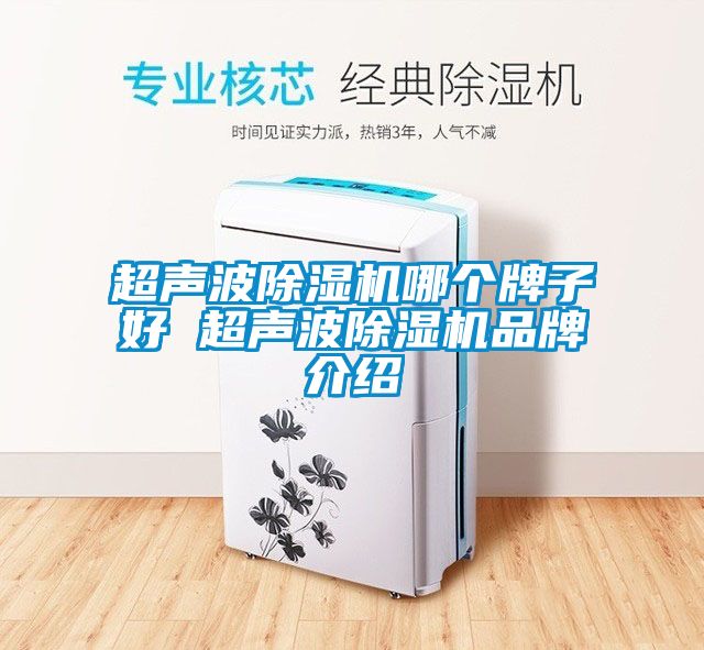 超声波麻豆视频黄网站哪个牌子好 超声波麻豆视频黄网站品牌介绍