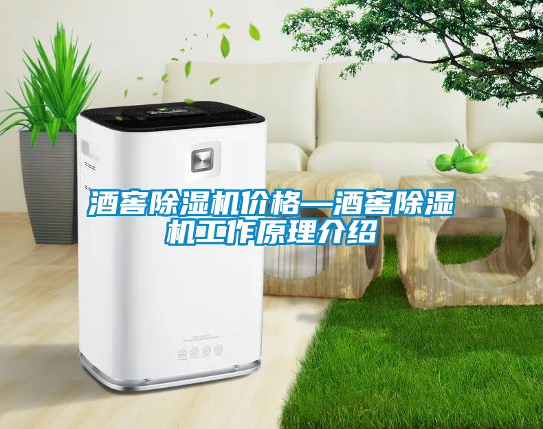 酒窖麻豆视频黄网站价格—酒窖麻豆视频黄网站工作原理介绍