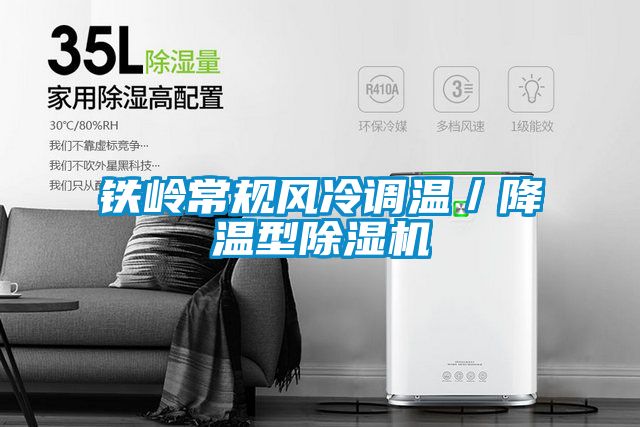 铁岭常规风冷调温／降温型麻豆视频黄网站