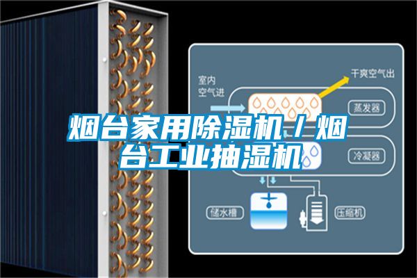 烟台家用麻豆视频黄网站／烟台工业抽湿机