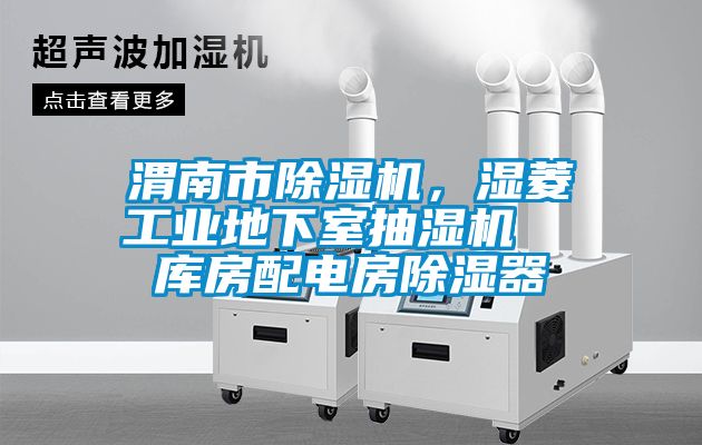 渭南市麻豆视频黄网站，湿菱工业地下室抽湿机  库房配电房除湿器