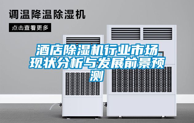 酒店麻豆视频黄网站行业市场现状分析与发展前景预测