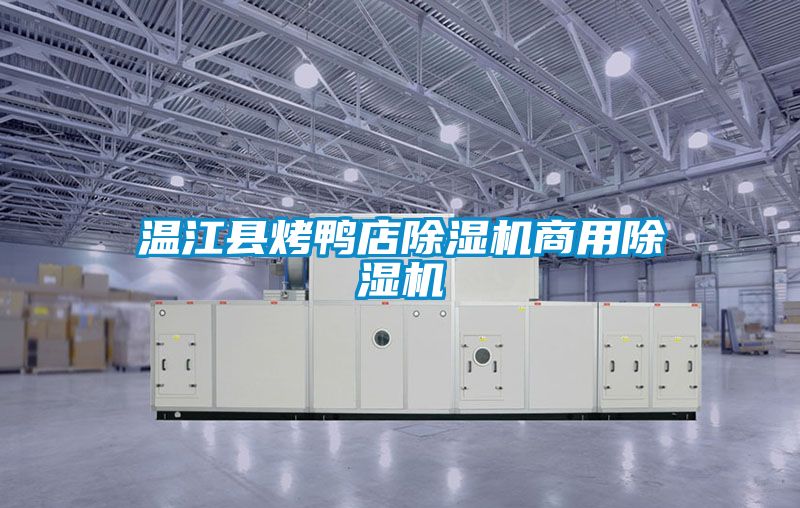 温江县烤鸭店麻豆视频黄网站商用麻豆视频黄网站