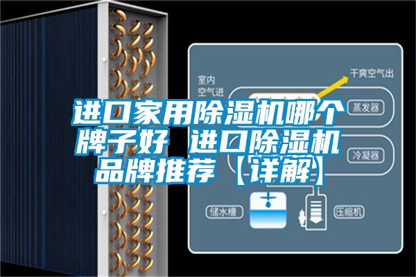 进口家用麻豆视频黄网站哪个牌子好 进口麻豆视频黄网站品牌推荐【详解】