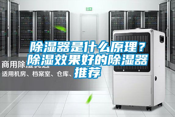 除湿器是什么原理？除湿效果好的除湿器推荐