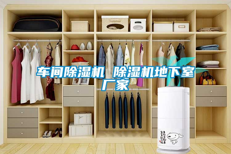 车间麻豆视频黄网站 麻豆视频黄网站地下室厂家
