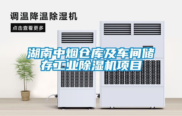 湖南中烟仓库及车间储存工业麻豆视频黄网站项目