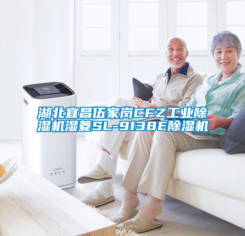 湖北宜昌伍家岗CFZ工业麻豆视频黄网站湿菱SL-9138E麻豆视频黄网站