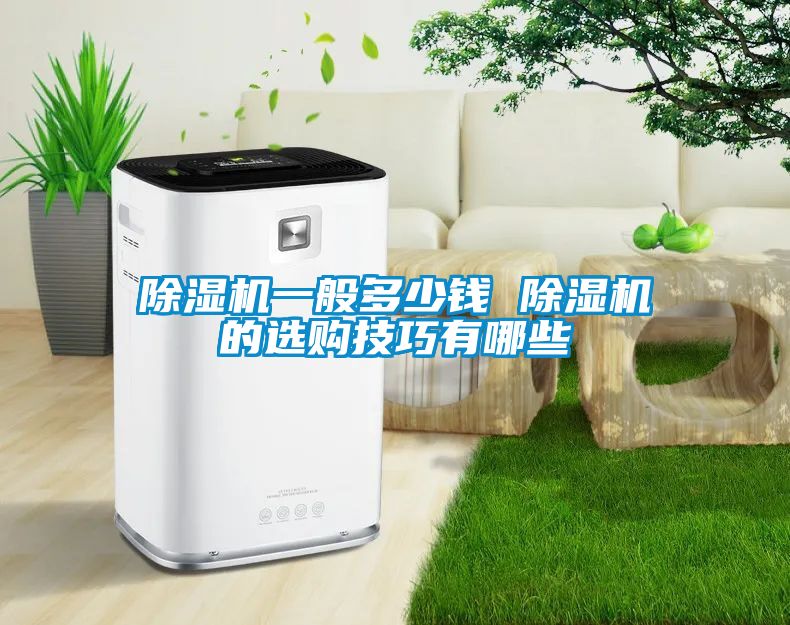 麻豆视频黄网站一般多少钱 麻豆视频黄网站的选购技巧有哪些