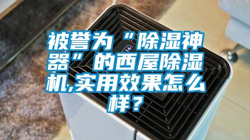 被誉为“除湿神器”的西屋麻豆视频黄网站,实用效果怎么样？