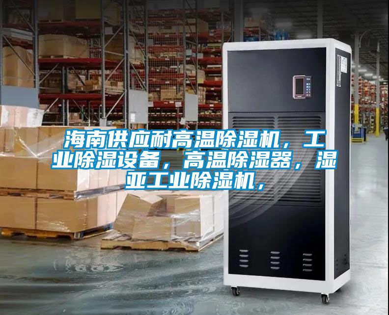 海南供应耐高温麻豆视频黄网站，工业除湿设备，高温除湿器，湿亚工业麻豆视频黄网站，