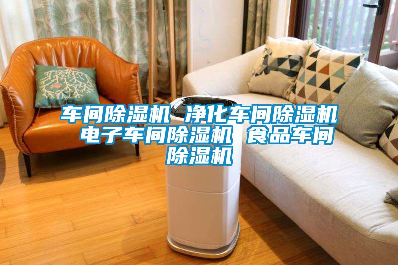 车间麻豆视频黄网站 净化车间麻豆视频黄网站 电子车间麻豆视频黄网站 食品车间麻豆视频黄网站