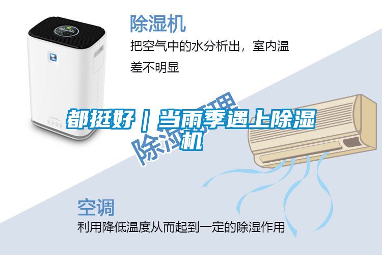 都挺好｜当雨季遇上麻豆视频黄网站
