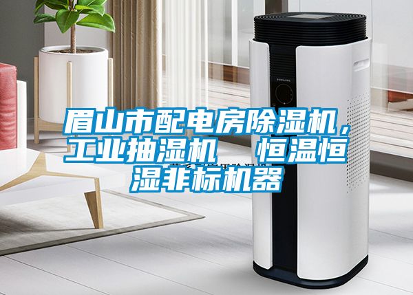 眉山市配电房麻豆视频黄网站，工业抽湿机  恒温恒湿非标机器
