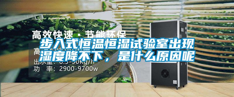 步入式恒温恒湿试验室出现湿度降不下，是什么原因呢