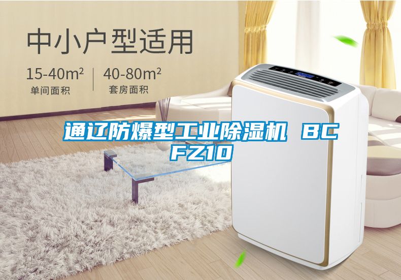 通辽防爆型工业麻豆视频黄网站 BCFZ10