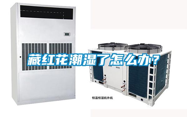 藏红花潮湿了怎么办？