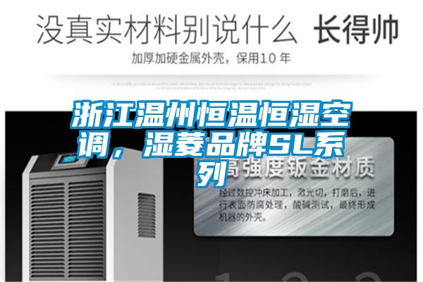 浙江温州恒温恒湿空调，湿菱品牌SL系列