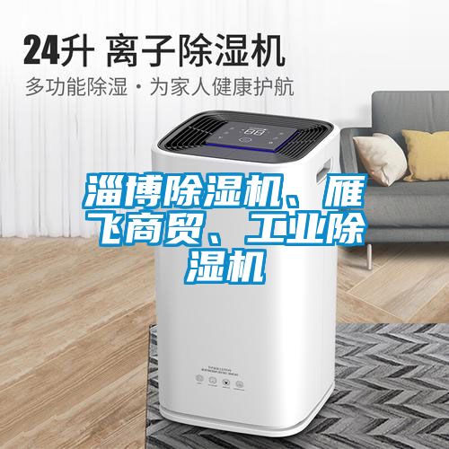 淄博麻豆视频黄网站、雁飞商贸、工业麻豆视频黄网站