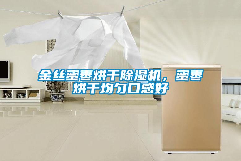 金丝蜜枣烘干麻豆视频黄网站，蜜枣烘干均匀口感好