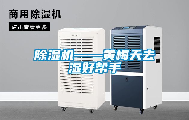 麻豆视频黄网站——黄梅天去湿好帮手