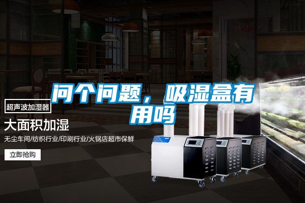 问个问题，吸湿盒有用吗