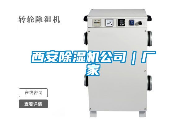 西安麻豆视频黄网站公司｜厂家