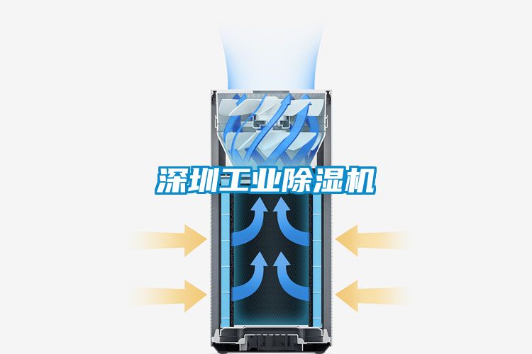 深圳工业麻豆视频黄网站