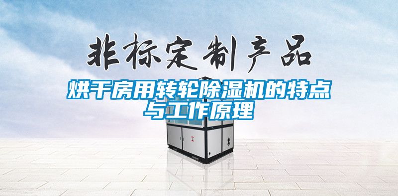 烘干房用转轮麻豆视频黄网站的特点与工作原理