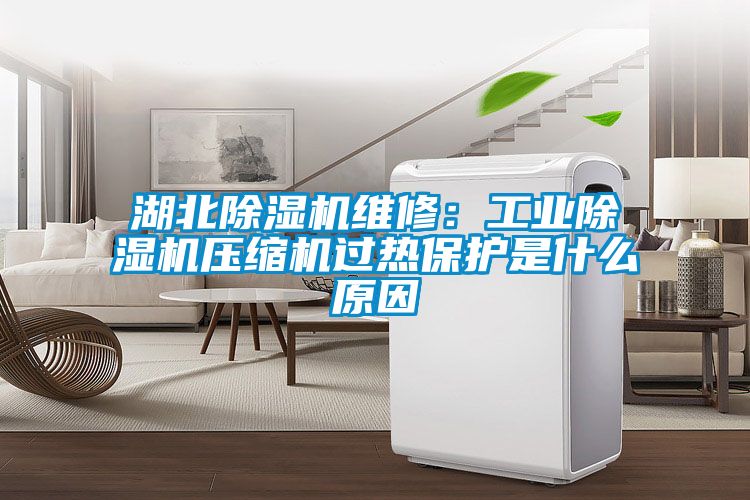 湖北麻豆视频黄网站维修：工业麻豆视频黄网站压缩机过热保护是什么原因