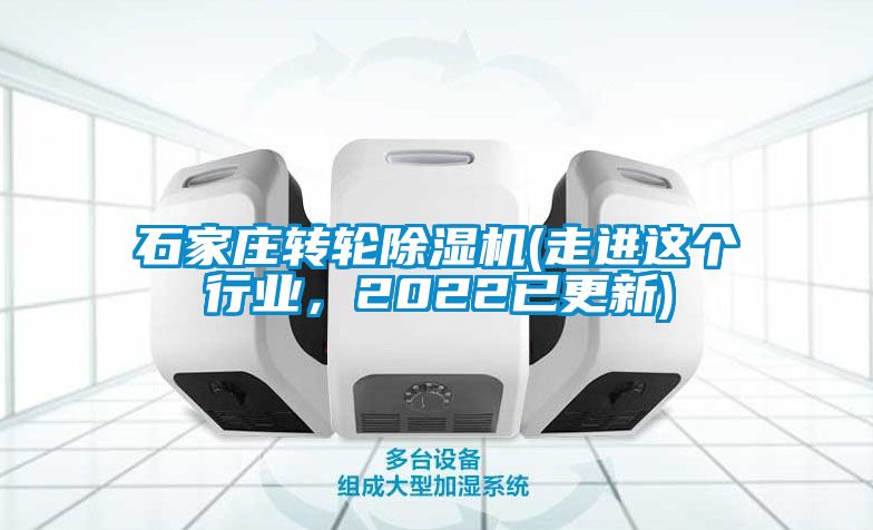 石家庄转轮麻豆视频黄网站(走进这个行业，2022已更新)