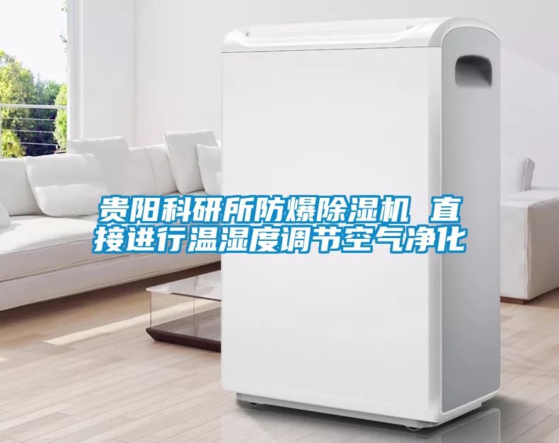贵阳科研所防爆麻豆视频黄网站 直接进行温湿度调节空气净化