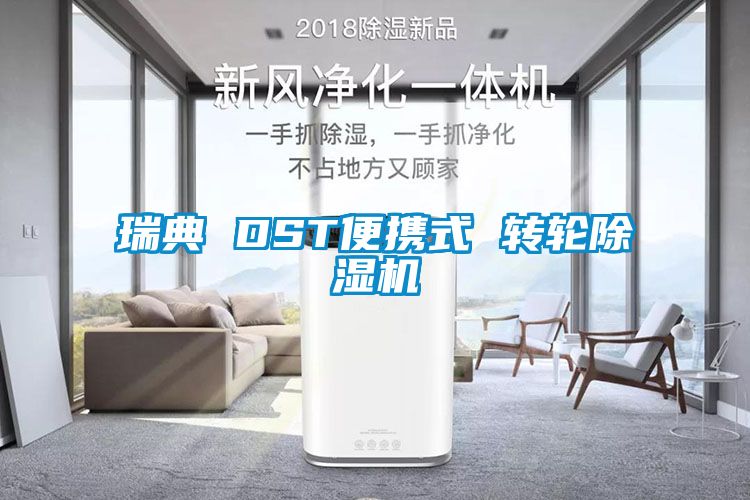瑞典 DST便携式 转轮麻豆视频黄网站