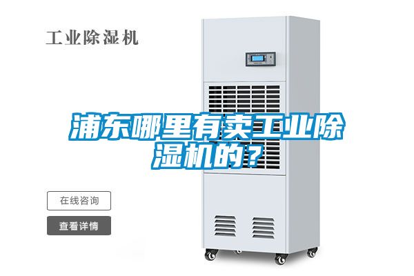浦东哪里有卖工业麻豆视频黄网站的？