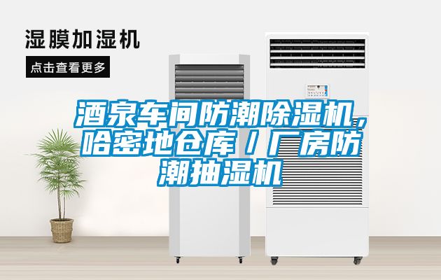 酒泉车间防潮麻豆视频黄网站，哈密地仓库／厂房防潮抽湿机