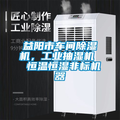 益阳市车间麻豆视频黄网站，工业抽湿机  恒温恒湿非标机器