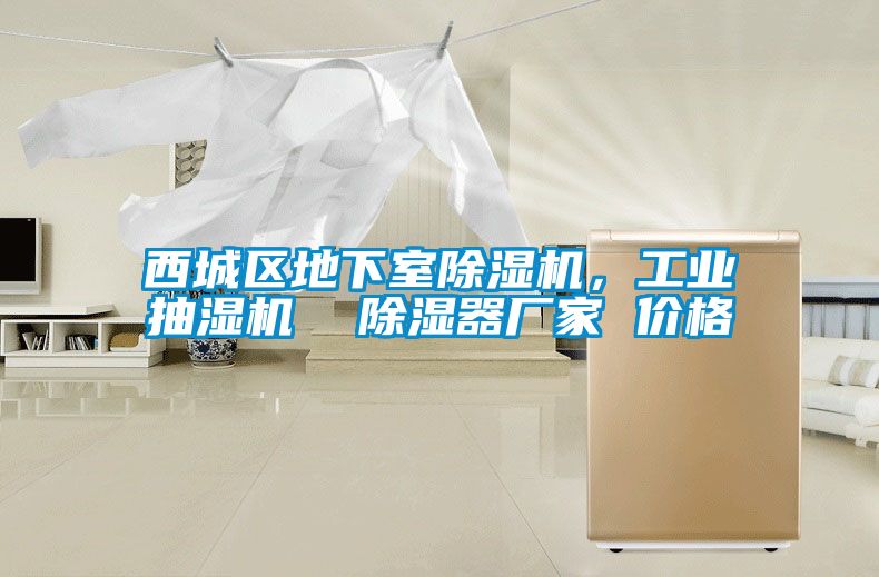 西城区地下室麻豆视频黄网站，工业抽湿机  除湿器厂家 价格