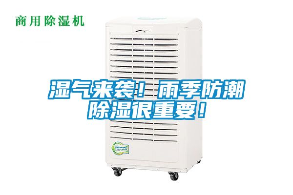 湿气来袭！雨季防潮除湿很重要！