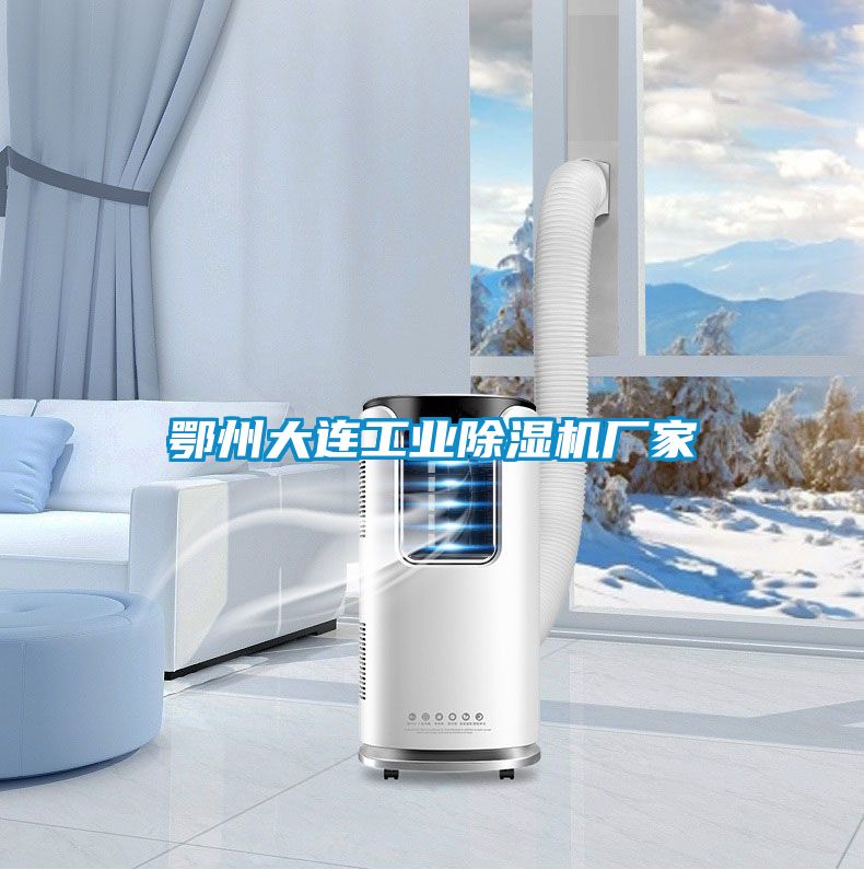 鄂州大连工业麻豆视频黄网站厂家