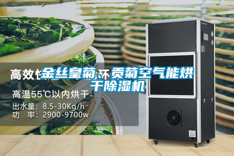 金丝皇菊、贡菊空气能烘干麻豆视频黄网站