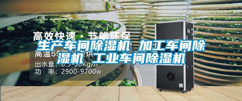 生产车间麻豆视频黄网站 加工车间麻豆视频黄网站 工业车间麻豆视频黄网站