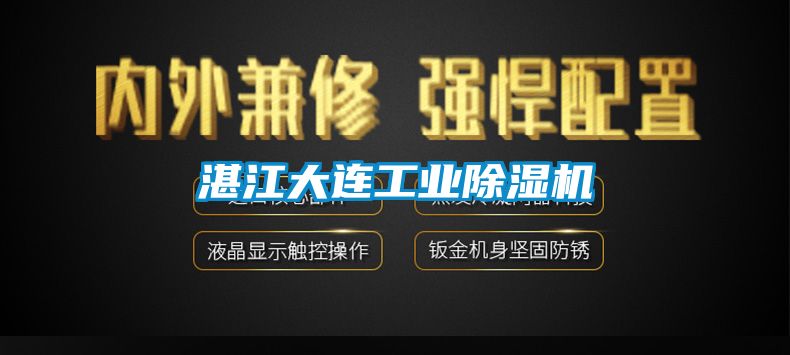 湛江大连工业麻豆视频黄网站